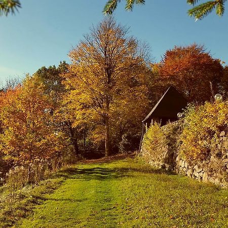 Parkhotel Schwarzenberg - Garni Zewnętrze zdjęcie