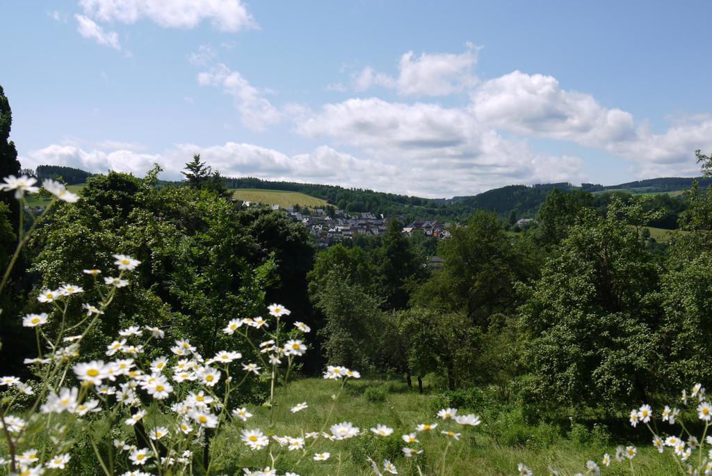 Parkhotel Schwarzenberg - Garni Zewnętrze zdjęcie